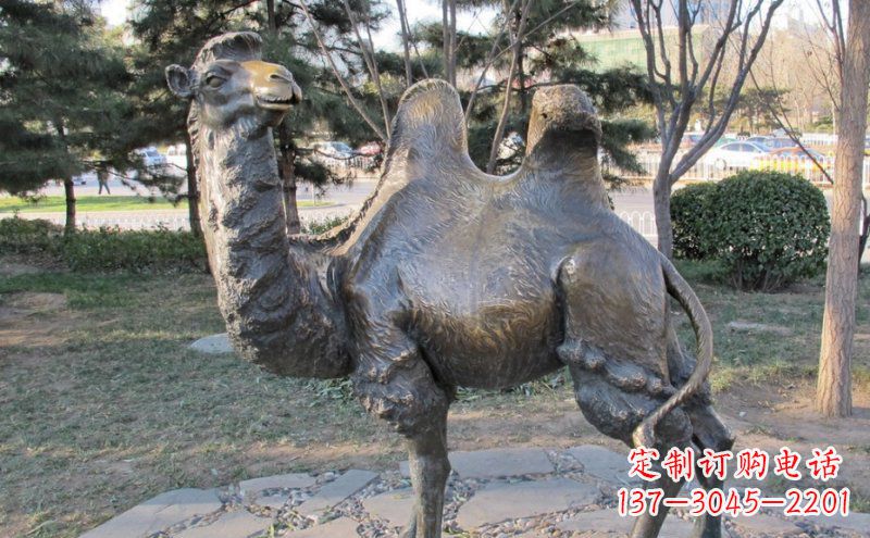 德州铜骆驼雕塑——浓缩自然美丽