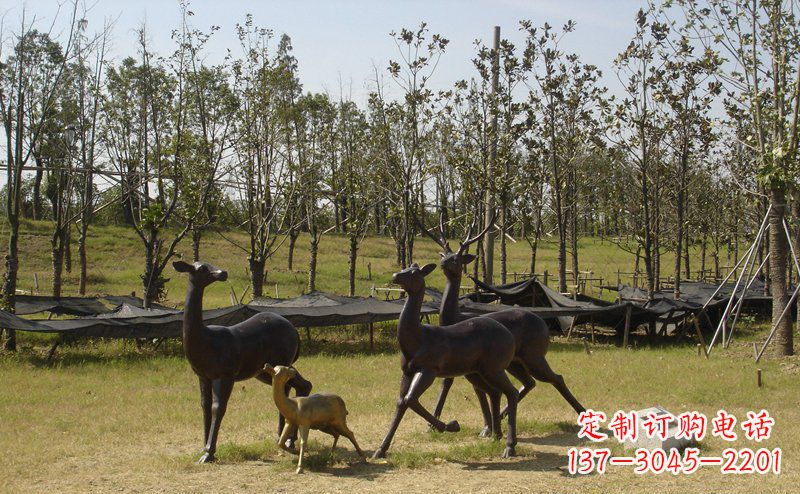 德州公园梅花鹿动物铜雕 (4)