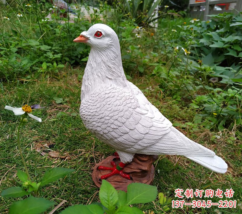 德州为和平献芳礼：精美少女与和平鸽雕塑