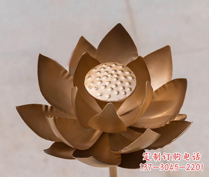 德州铜雕景观荷花