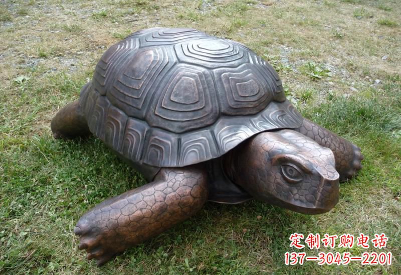 德州乌龟铜雕222